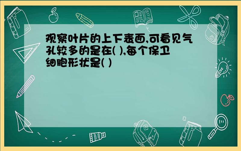 观察叶片的上下表面,可看见气孔较多的是在( ),每个保卫细胞形状是( )