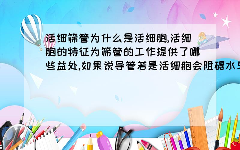 活细筛管为什么是活细胞,活细胞的特征为筛管的工作提供了哪些益处,如果说导管若是活细胞会阻碍水与无机盐的运输,为什么筛管不会呢