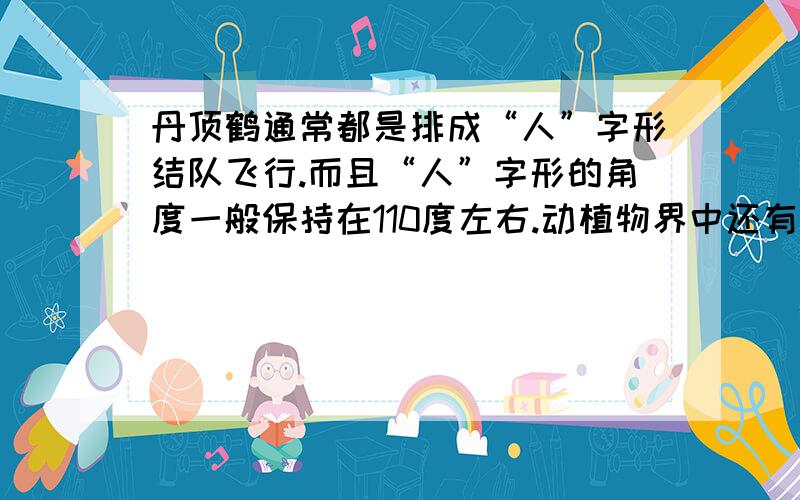 丹顶鹤通常都是排成“人”字形结队飞行.而且“人”字形的角度一般保持在110度左右.动植物界中还有哪些这种有趣的角度呢?不好意思，我要的是“角度”，一般保持不变的角度……