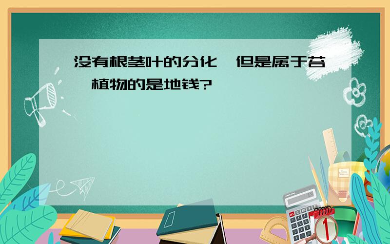 没有根茎叶的分化,但是属于苔藓植物的是地钱?