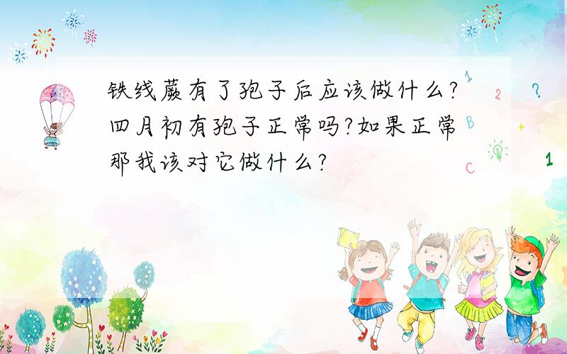 铁线蕨有了孢子后应该做什么?四月初有孢子正常吗?如果正常那我该对它做什么?