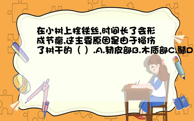 在小树上拴铁丝,时间长了会形成节瘤,这主要原因是由于损伤了树干的（ ）.A.韧皮部B.木质部C.髓D.形成