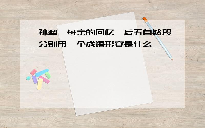 孙犁《母亲的回忆》后五自然段分别用一个成语形容是什么