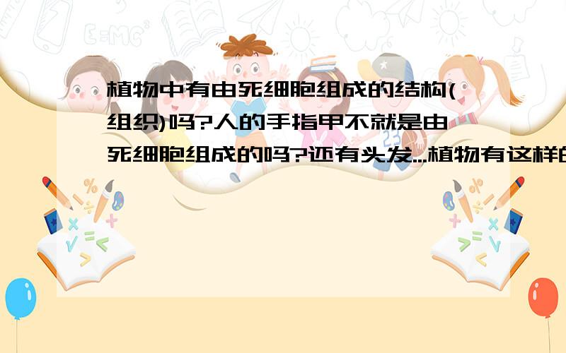 植物中有由死细胞组成的结构(组织)吗?人的手指甲不就是由死细胞组成的吗?还有头发...植物有这样的结构(组织)吗?一楼说的叫什么?