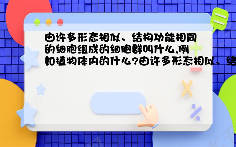 由许多形态相似、结构功能相同的细胞组成的细胞群叫什么,例如植物体内的什么?由许多形态相似、结构功能相同的细胞组成的细胞群叫___,例如植物体内的___?