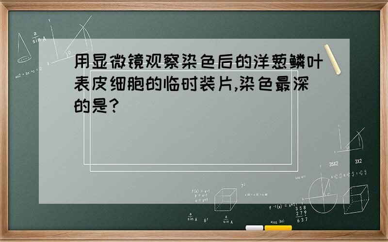 用显微镜观察染色后的洋葱鳞叶表皮细胞的临时装片,染色最深的是?