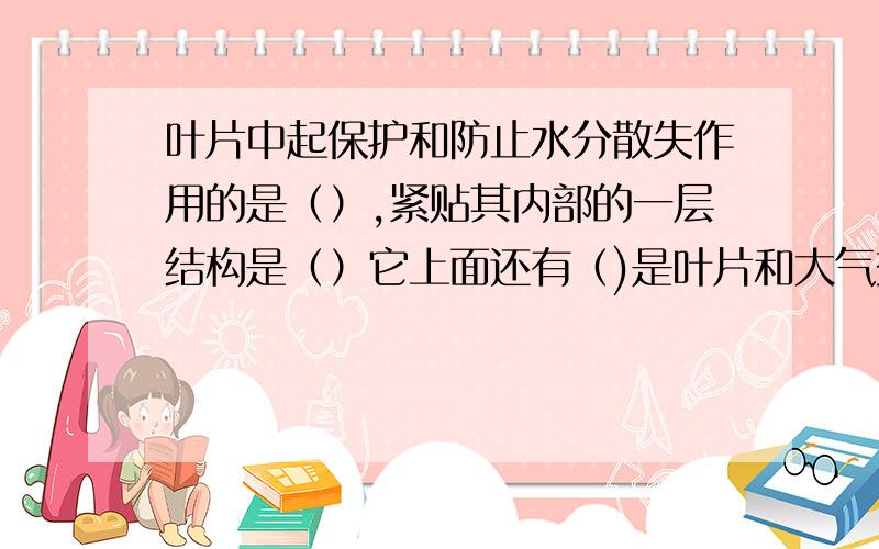 叶片中起保护和防止水分散失作用的是（）,紧贴其内部的一层结构是（）它上面还有（)是叶片和大气交换物质