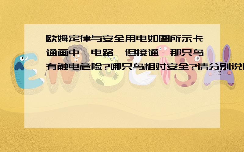 欧姆定律与安全用电如图所示卡通画中,电路一但接通,那只鸟有触电危险?哪只鸟相对安全?请分别说明理由