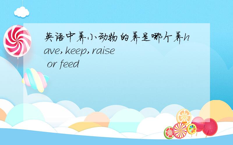 英语中养小动物的养是哪个养have,keep,raise or feed