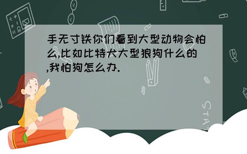 手无寸铁你们看到大型动物会怕么,比如比特犬大型狼狗什么的,我怕狗怎么办.