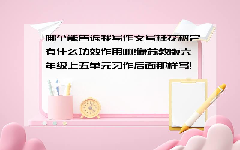 哪个能告诉我写作文写桂花树它有什么功效作用啊!像苏教版六年级上五单元习作后面那样写!