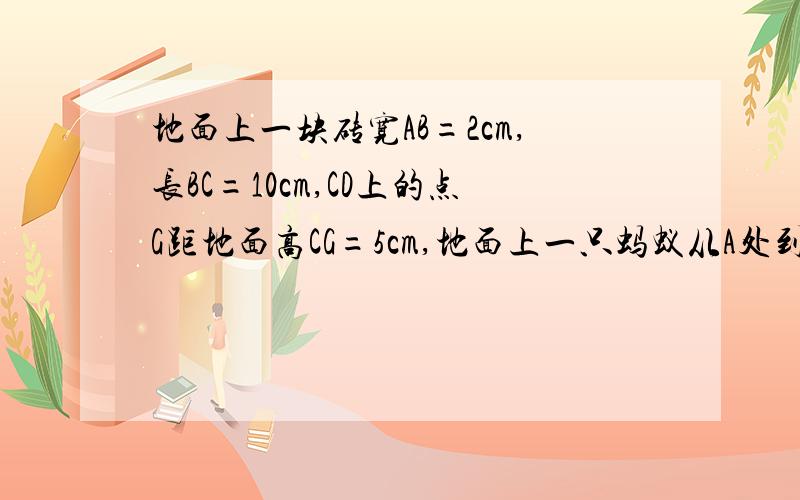 地面上一块砖宽AB=2cm,长BC=10cm,CD上的点G距地面高CG=5cm,地面上一只蚂蚁从A处到G吃食物,若蚂蚁只在侧面上爬行,则它要行的最短路程是