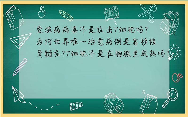 爱滋病病毒不是攻击T细胞吗?为何世界唯一治愈病例是靠移植骨髓呢?T细胞不是在胸腺里成熟吗?