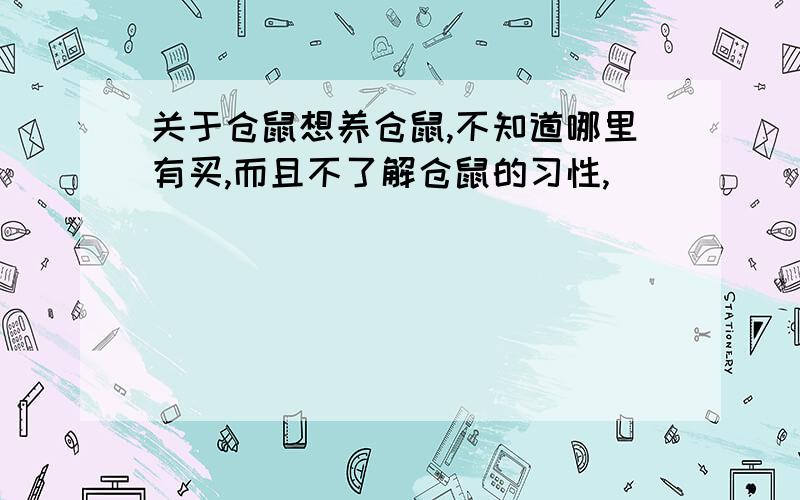 关于仓鼠想养仓鼠,不知道哪里有买,而且不了解仓鼠的习性,