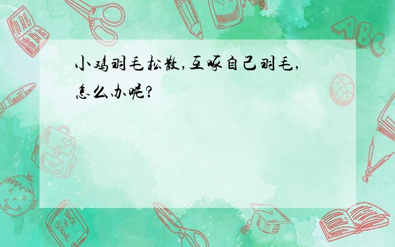 小鸡羽毛松散,互啄自己羽毛,怎么办呢?