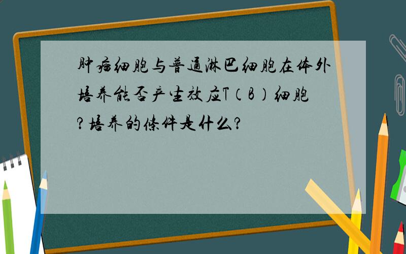 肿瘤细胞与普通淋巴细胞在体外培养能否产生效应T（B）细胞?培养的条件是什么?