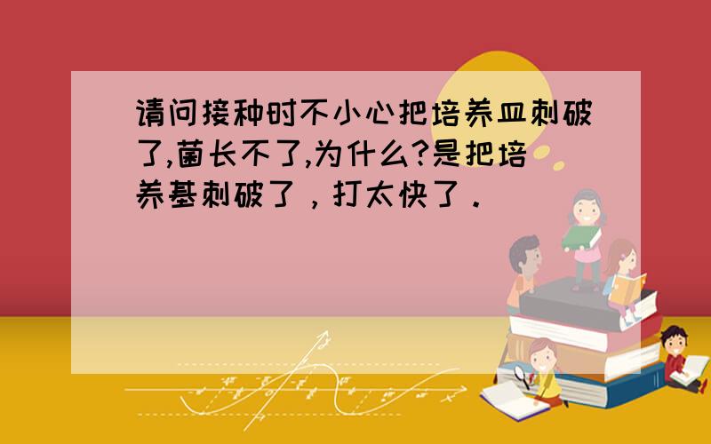 请问接种时不小心把培养皿刺破了,菌长不了,为什么?是把培养基刺破了，打太快了。