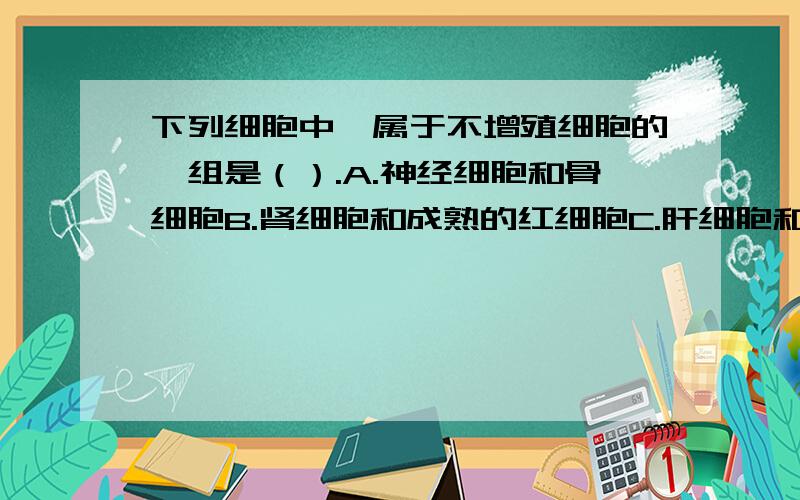 下列细胞中,属于不增殖细胞的一组是（）.A.神经细胞和骨细胞B.肾细胞和成熟的红细胞C.肝细胞和淋巴细胞D.骨髓细胞和心肌细胞