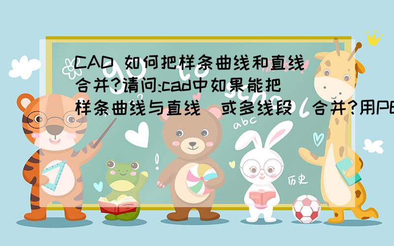 CAD 如何把样条曲线和直线合并?请问:cad中如果能把样条曲线与直线(或多线段)合并?用PE命令不行的,PE命令只能合并直线跟直线或跟多线段合并,无法让直线跟样条曲线合并的.J命令也不行.