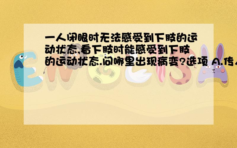 一人闭眼时无法感受到下肢的运动状态,看下肢时能感受到下肢的运动状态.问哪里出现病变?选项 A.传入神经 B.躯体感觉中枢 C.躯体运动中枢说明理由。