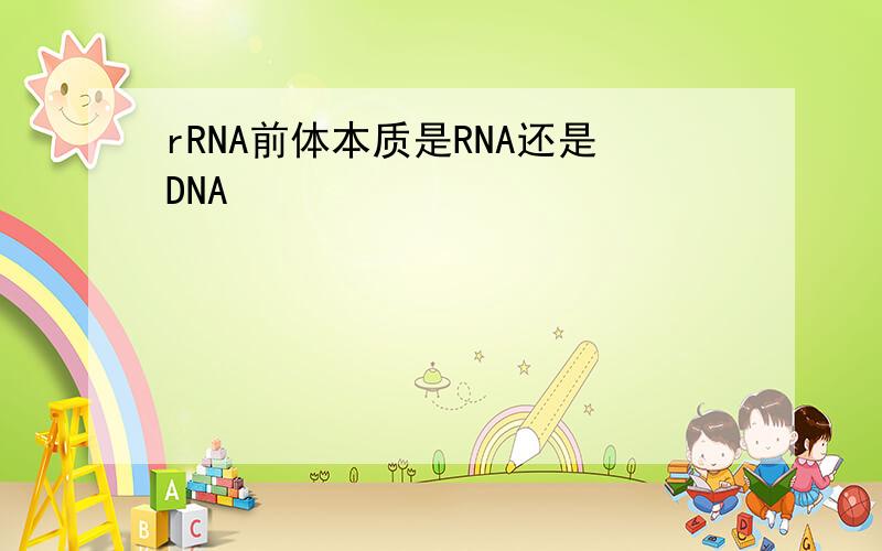 rRNA前体本质是RNA还是DNA