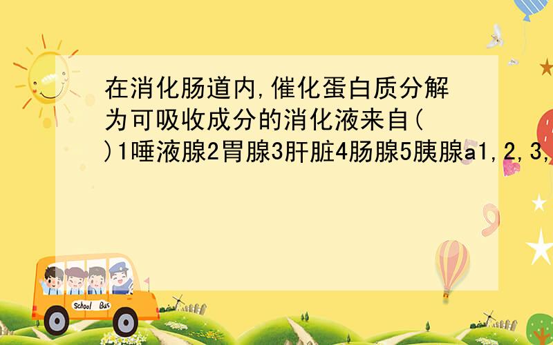 在消化肠道内,催化蛋白质分解为可吸收成分的消化液来自( )1唾液腺2胃腺3肝脏4肠腺5胰腺a1,2,3,b1,2,5 c1,4,5 d2.4.5