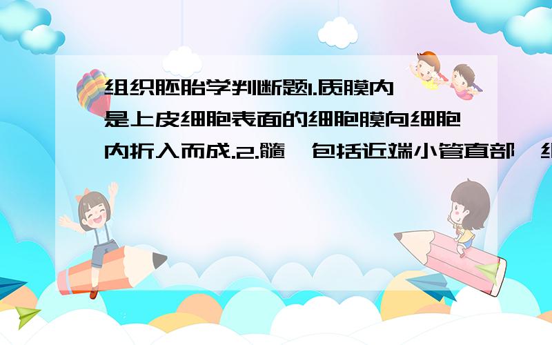 组织胚胎学判断题1.质膜内褶是上皮细胞表面的细胞膜向细胞内折入而成.2.髓袢包括近端小管直部、细段和远端小管直部.3.淋巴结的淋巴小结主要有T细胞构成.4.室间隔缺损最常见的为卵圆孔