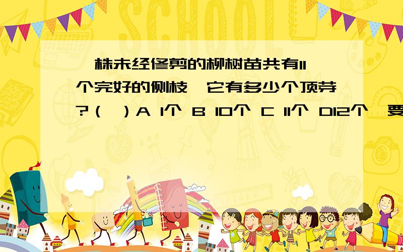 一株未经修剪的柳树苗共有11个完好的侧枝,它有多少个顶芽?（ ）A 1个 B 10个 C 11个 D12个【要有解析】