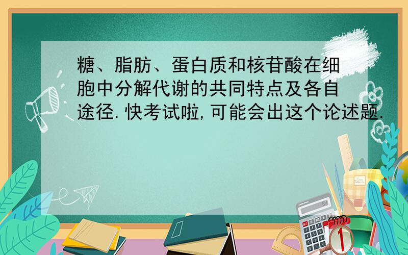 糖、脂肪、蛋白质和核苷酸在细胞中分解代谢的共同特点及各自途径.快考试啦,可能会出这个论述题.