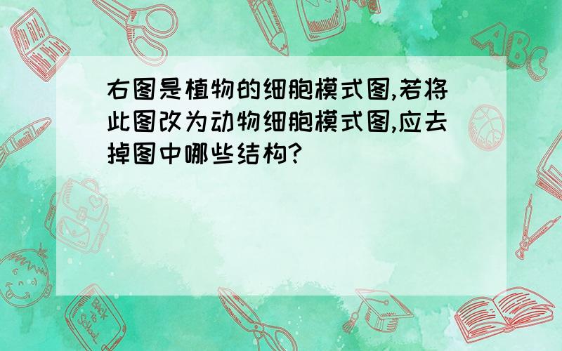 右图是植物的细胞模式图,若将此图改为动物细胞模式图,应去掉图中哪些结构?