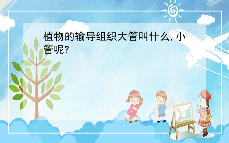 植物的输导组织大管叫什么,小管呢?