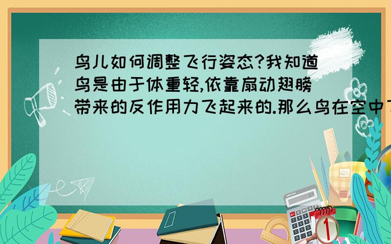 鸟儿如何调整飞行姿态?我知道鸟是由于体重轻,依靠扇动翅膀带来的反作用力飞起来的.那么鸟在空中飞行时,如何调节身体各个部位来达到往前飞、斜上飞、俯冲、急转弯或者盘旋,甚至悬停