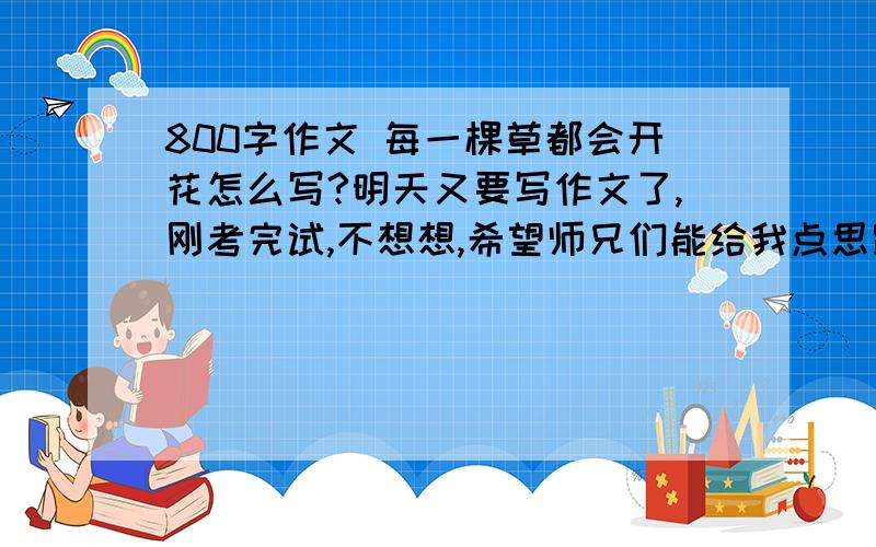 800字作文 每一棵草都会开花怎么写?明天又要写作文了,刚考完试,不想想,希望师兄们能给我点思路、题材,等等什么的,我都不知道该如何下手,不知道该写什么下去,是记叙文.