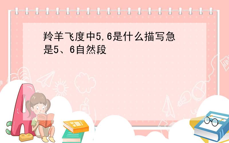 羚羊飞度中5,6是什么描写急是5、6自然段