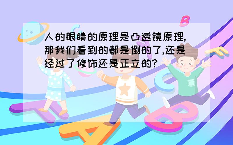 人的眼睛的原理是凸透镜原理,那我们看到的都是倒的了,还是经过了修饰还是正立的?