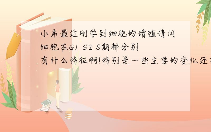 小弟最近刚学到细胞的增殖请问细胞在G1 G2 S期都分别有什么特征啊!特别是一些主要的变化还有M期!都有些什么变化啊!最重要的还有染色体 染色单体 姐妹染色单体!