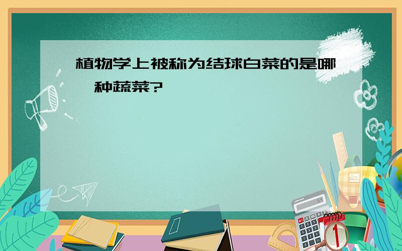 植物学上被称为结球白菜的是哪一种蔬菜?