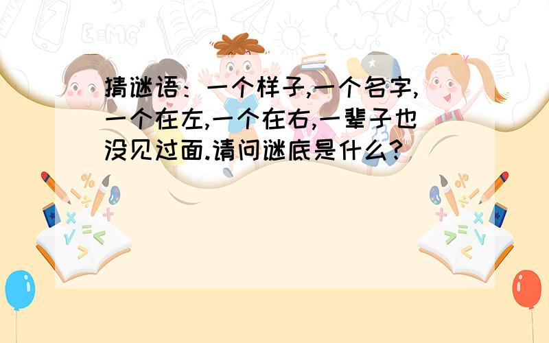 猜谜语：一个样子,一个名字,一个在左,一个在右,一辈子也没见过面.请问谜底是什么?