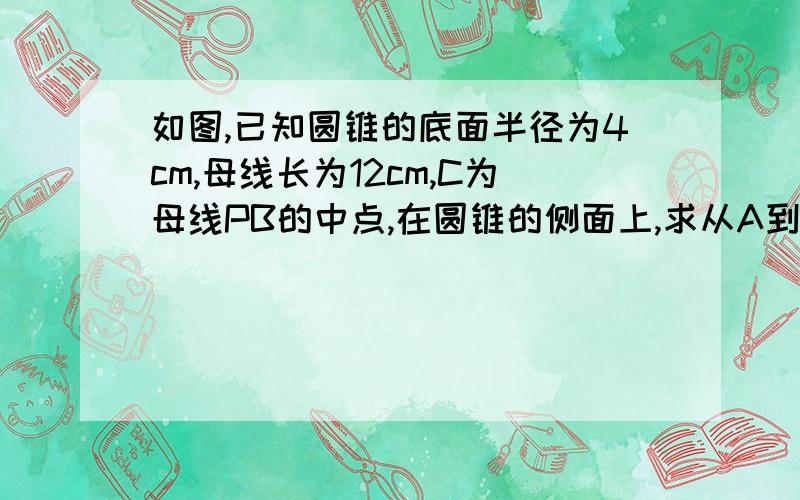 如图,已知圆锥的底面半径为4cm,母线长为12cm,C为母线PB的中点,在圆锥的侧面上,求从A到C的最短距离.