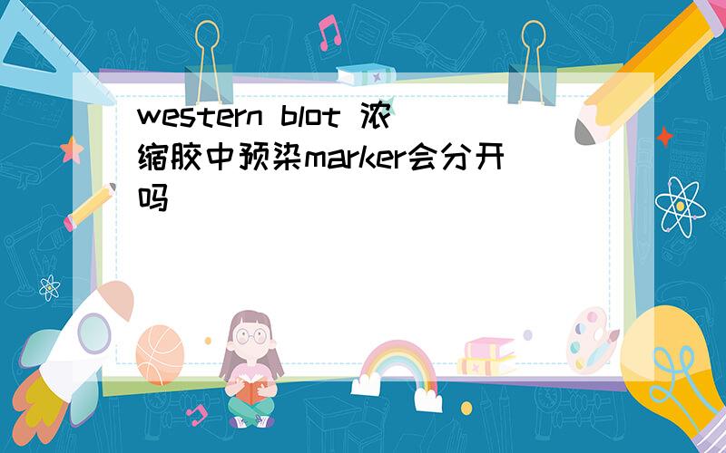 western blot 浓缩胶中预染marker会分开吗