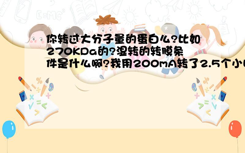 你转过大分子量的蛋白么?比如270KDa的?湿转的转膜条件是什么啊?我用200mA转了2.5个小时结果都没转上