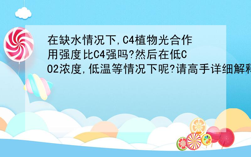 在缺水情况下,C4植物光合作用强度比C4强吗?然后在低CO2浓度,低温等情况下呢?请高手详细解释说明,谢了!为什么其他条件相同情况下，C4总比C3强呢？请高手具体指招啊。谢谢啦。