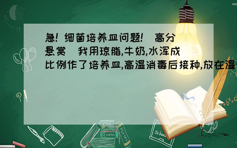 急! 细菌培养皿问题!（高分悬赏）我用琼脂,牛奶,水浑成比例作了培养皿,高温消毒后接种,放在温暖湿润的地方.几天后（大约一星期）已明显坏了,有明显异味,淌水,发泡,表面变绿,但却看不到