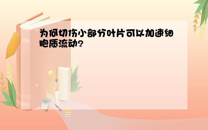 为何切伤小部分叶片可以加速细胞质流动?