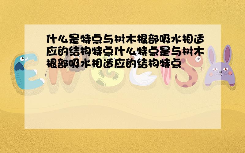 什么是特点与树木根部吸水相适应的结构特点什么特点是与树木根部吸水相适应的结构特点