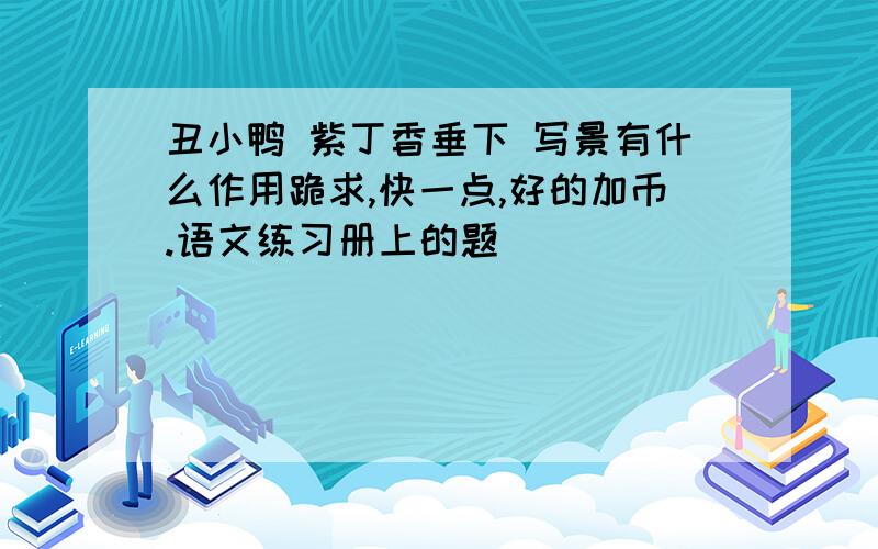 丑小鸭 紫丁香垂下 写景有什么作用跪求,快一点,好的加币.语文练习册上的题