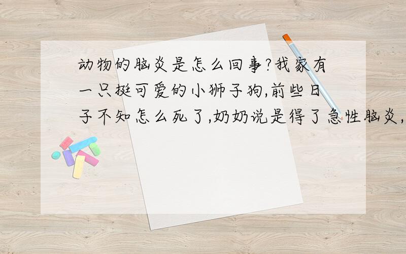 动物的脑炎是怎么回事?我家有一只挺可爱的小狮子狗,前些日子不知怎么死了,奶奶说是得了急性脑炎,许多动物都得这病死了,脑炎是怎么回事,怎么会要了这么多动物的命?