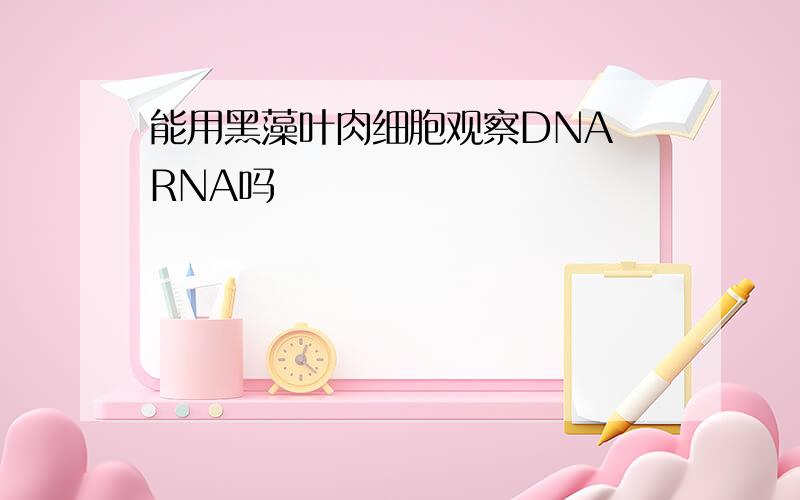 能用黑藻叶肉细胞观察DNA RNA吗