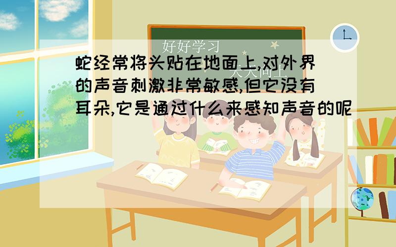 蛇经常将头贴在地面上,对外界的声音刺激非常敏感,但它没有耳朵,它是通过什么来感知声音的呢