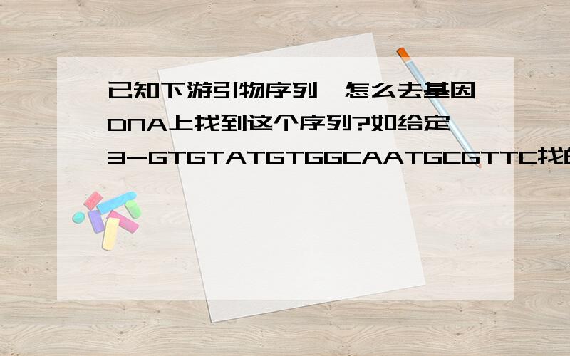 已知下游引物序列,怎么去基因DNA上找到这个序列?如给定3-GTGTATGTGGCAATGCGTTC找的方法是不是和上游引物不一样?